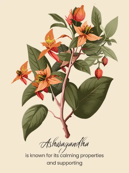 An illustrated image of botanical plants