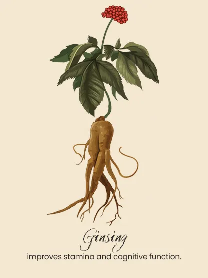 An illustrated image of botanical plants