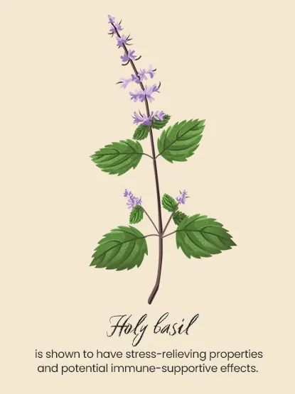 An illustrated image of botanical plants
