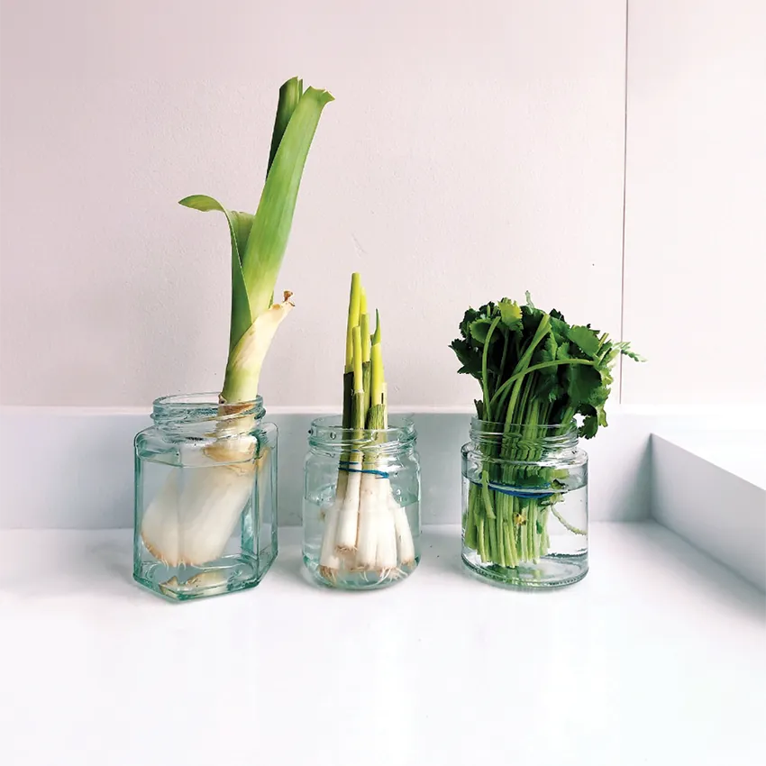 image of jars with different veg growing in water