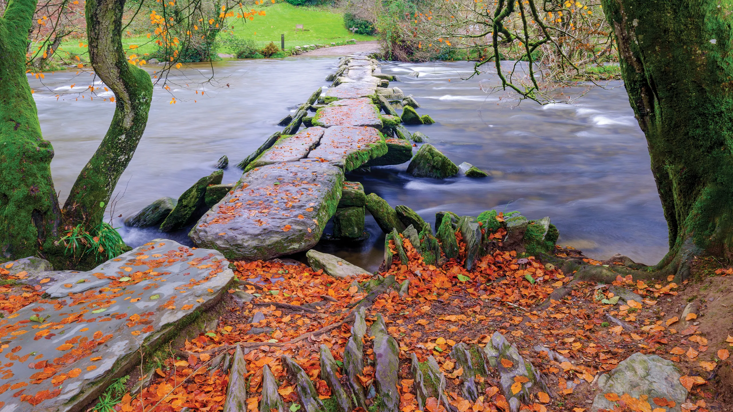 red leaves with stone steps over a river