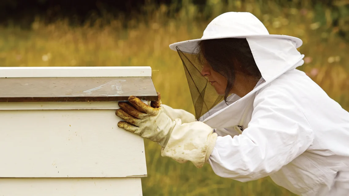 Amy Newsome working as a beekeeper