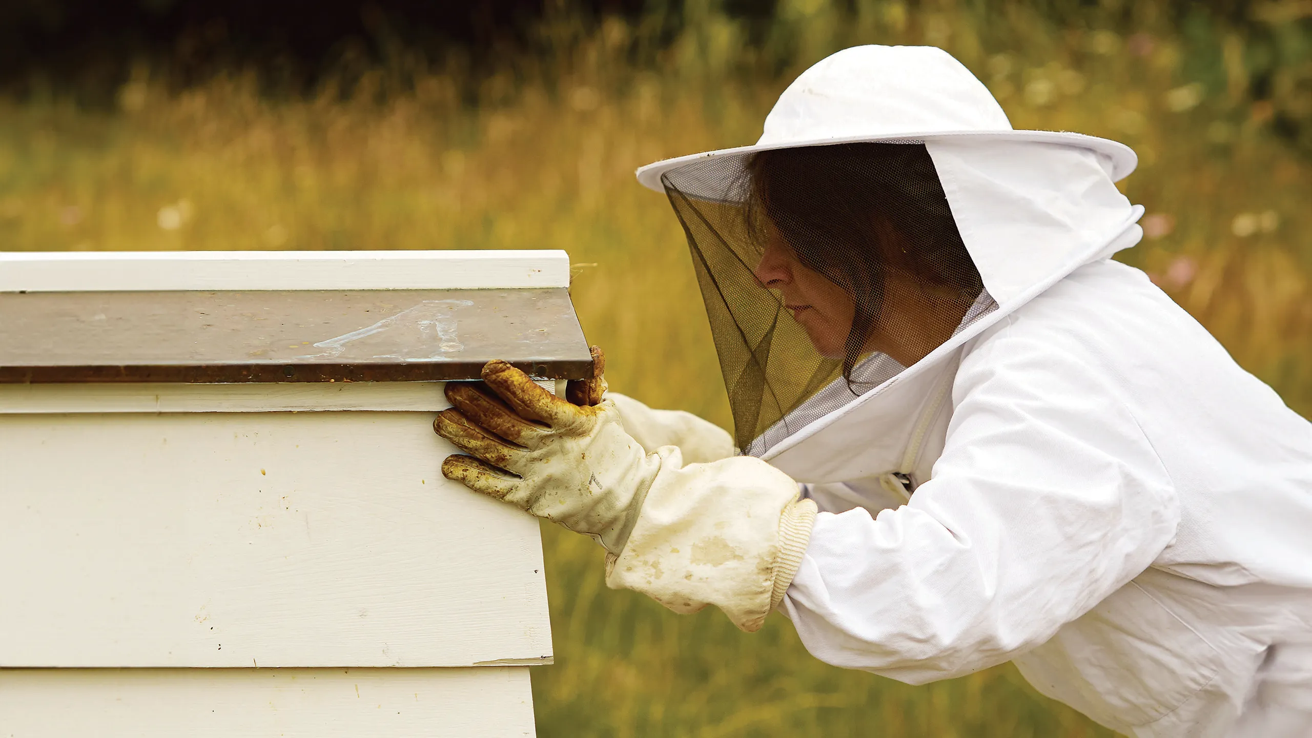 Amy Newsome working as a beekeeper