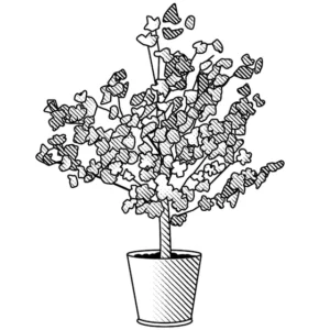 decent pot or small flower bed 