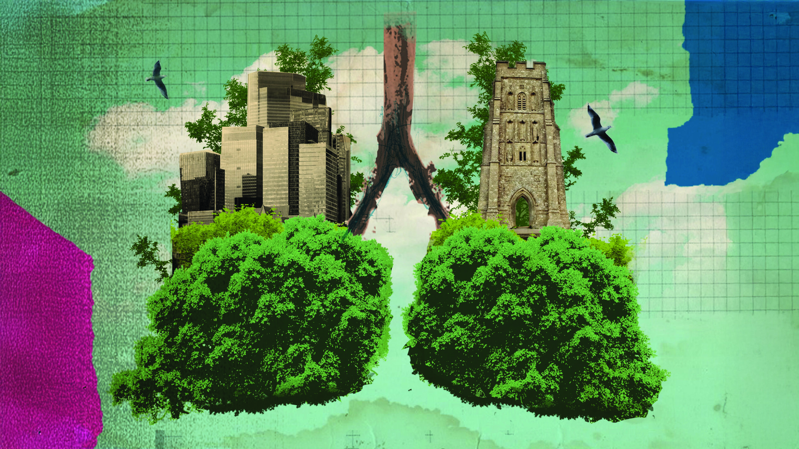 Trees as lungs in urban background with local buildings